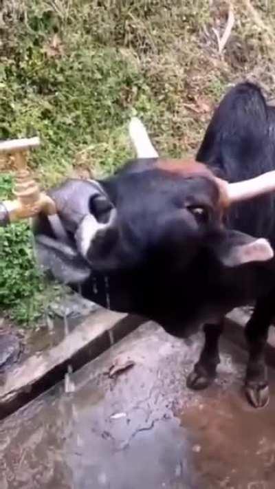 Me taking a break from playing in the backyard, est year 1990