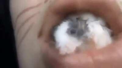 This made me cringe. A lot.