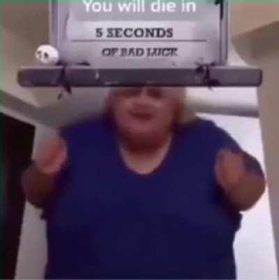 Stan Twitter/5 senconds purrrrr