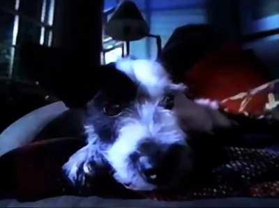 Every Milk Jug is personalized (1996)