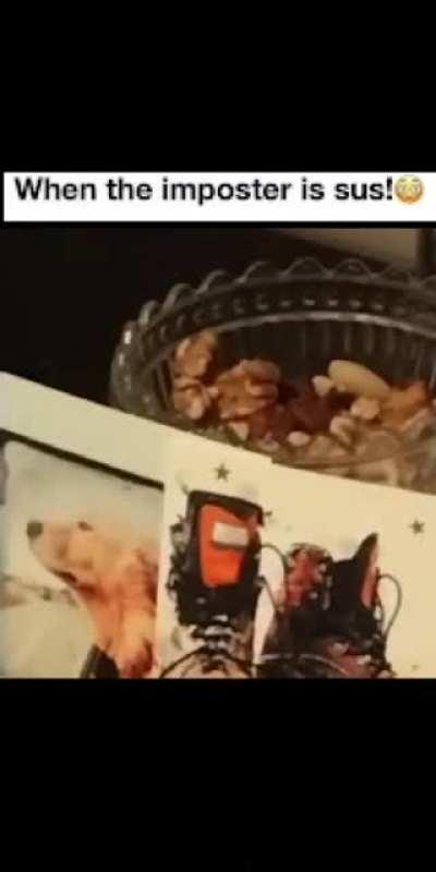 Kun teeskentelijä on epäilyttävä!!1!1!1!1!1;1;1;11;!!1😳😳😳😳😳😳