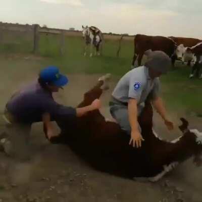 Creo que tiene fuerza el hombre