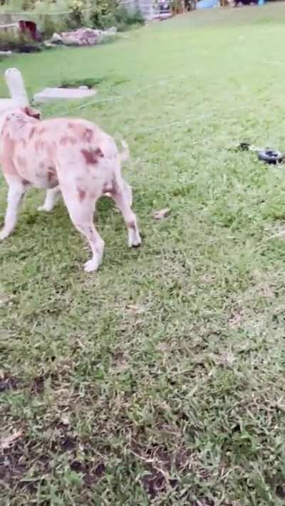 Best buds now ❤️