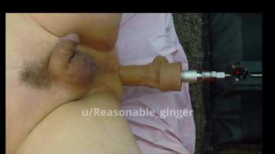 Hankey's Lampwick XL dildo taking it balls deep on my Fuck Machine. BLISS