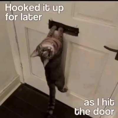 ☺️☺️☺️☺️