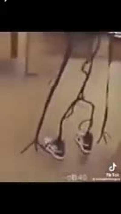 It’s just a drippin memory