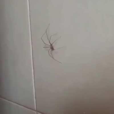 👌🏽 OK 👌🏽