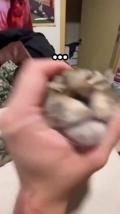 Gjalhslhagjworikekingpeoejenr