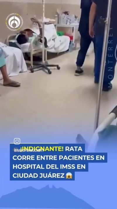 Que eso también sucede en Dinamarca