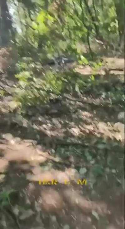 Took too much on the eastern front