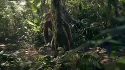 All of r/titanfolk when Zook is back in chapter 134