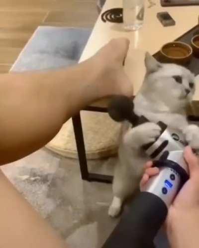 Lemme get in this sesh.....