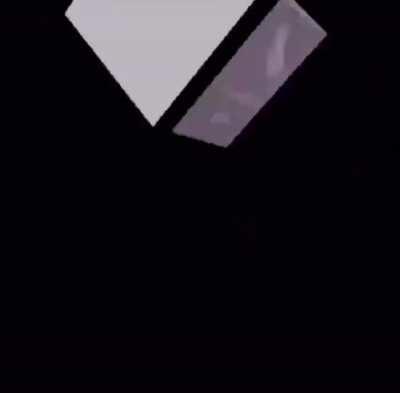 y'all should keep an eye on this mf winnie the pooh 😭he dangerous as hell