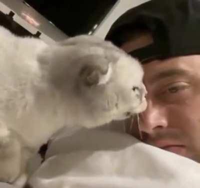 Let me return the favor