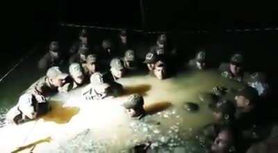 Cade minhas capivarinhas