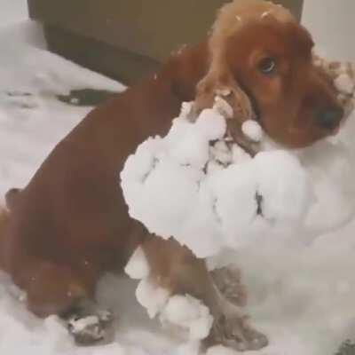 Нагулялся снежный ком...