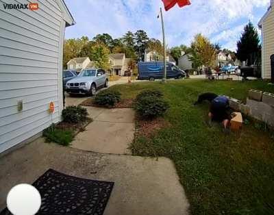 Some people should't own dog's or any other animals.