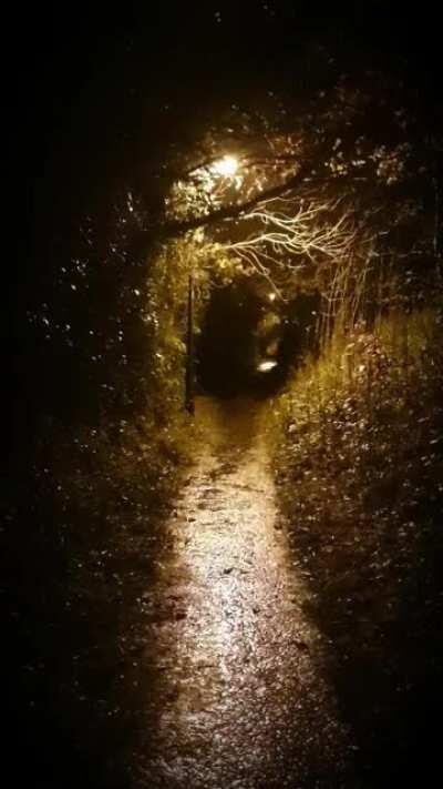 Nice walk this evening. 