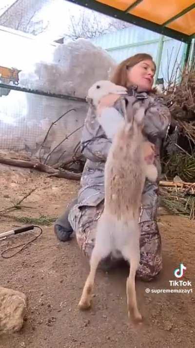 HAMBONING WILL SAVE YOUR LIFE ONE DAY!