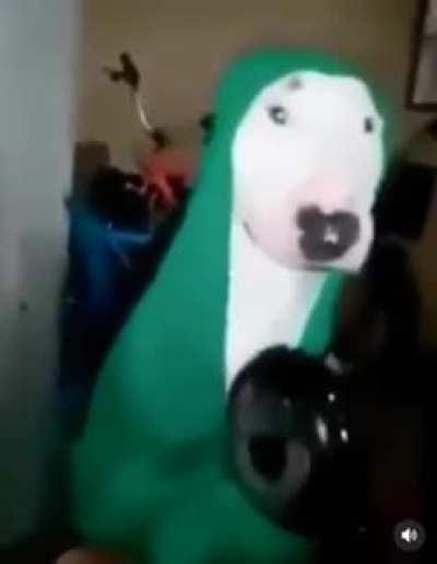 Walter sinplemente walter