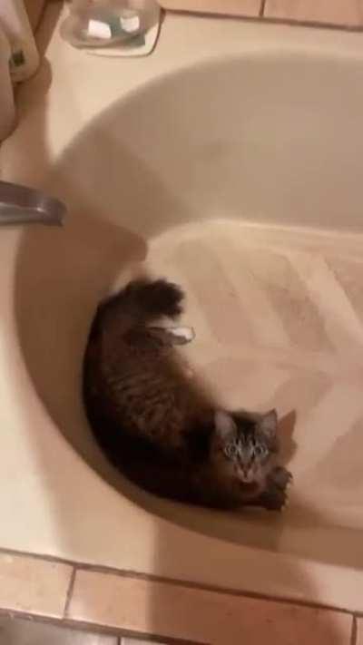 iNnOcEnT kItTeR gEtS bRuTaLlY fUcKiNg DrOwNeD