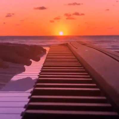 Hey you,yeah you. Hope you have a nice day/night