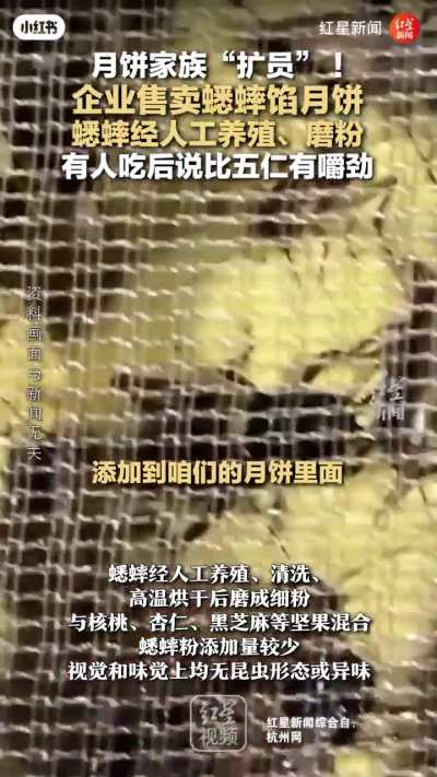 China living in future 🦗