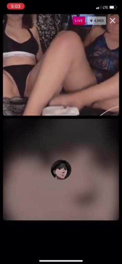 jetta from the other day