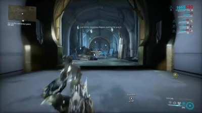 A Kuaka knocked me on my ASS