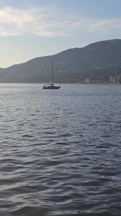 Jetski hits a grey whale in Vancouver