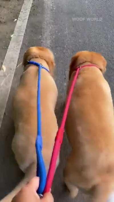 Those hips do not lie... 😂👏