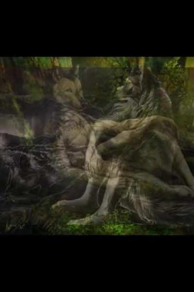 Does this fit the theme of the sub