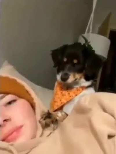 When your human is emotionally unavailable