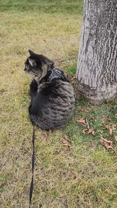 Having a grand, ol' time!