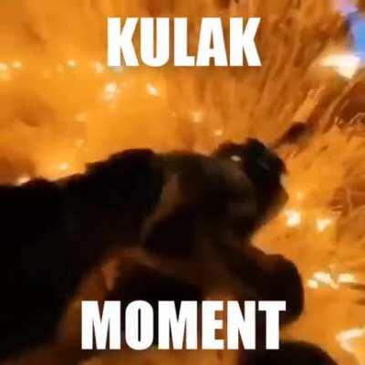 just doing some basic economics