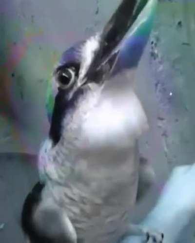 New DJ drone tech...