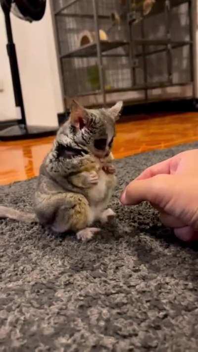 Those little hands 😍