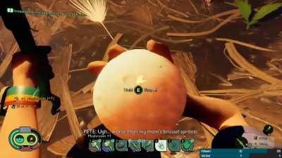 Our first wolf spider encounter... guess I learned my lesson about torches.