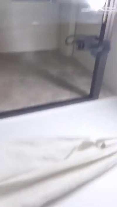 Hot girl showing her ass