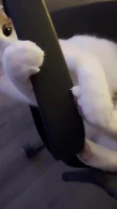 How do I stop my cat from attaching himself to my chair and rendering me unable to sit?