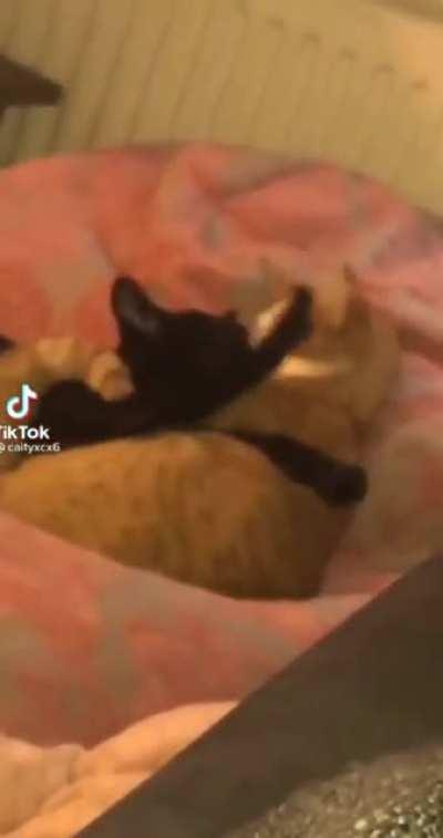 Me and my bf fighting and making up every other day 🥲