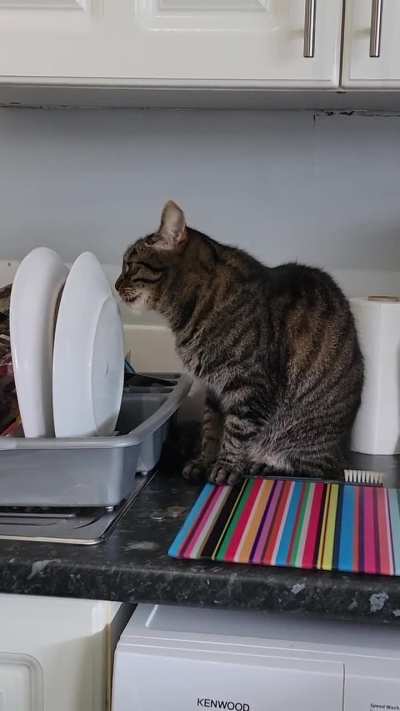 What is she doing? 😂