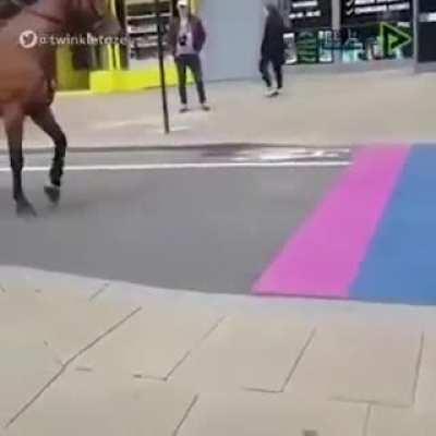 Кони против