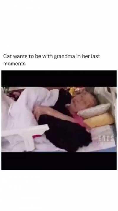 Sweetest Chonker comforting Granny in her last moments.