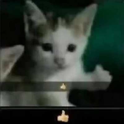 me coming back to this sub after not playing for 2 months and seeing aramusha mains being slandered left and right