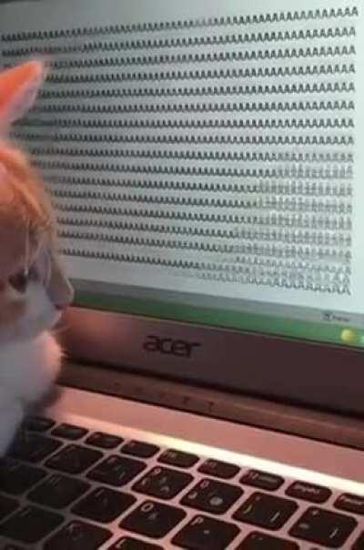 AAAAAAAAAAAAAAAAAAAAAAAAAAAAAAAAAAAAAAAA