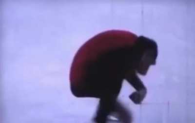 In the 1960's, this group of chimpanzees were taught how to ice skate