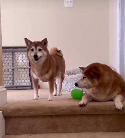 Boo-Boo ain’t having it