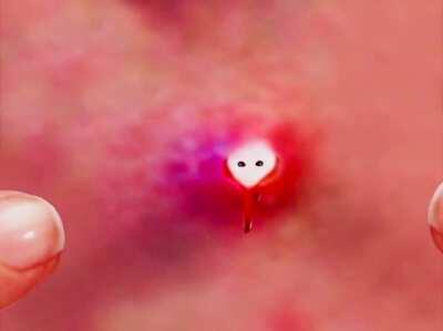 Cursed_flesh animation