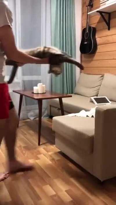 Beautiful morning dance with cat